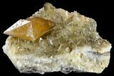 Dogtooth Calcite Plate With Golden Calcite Crystal - Morocco #115198-1